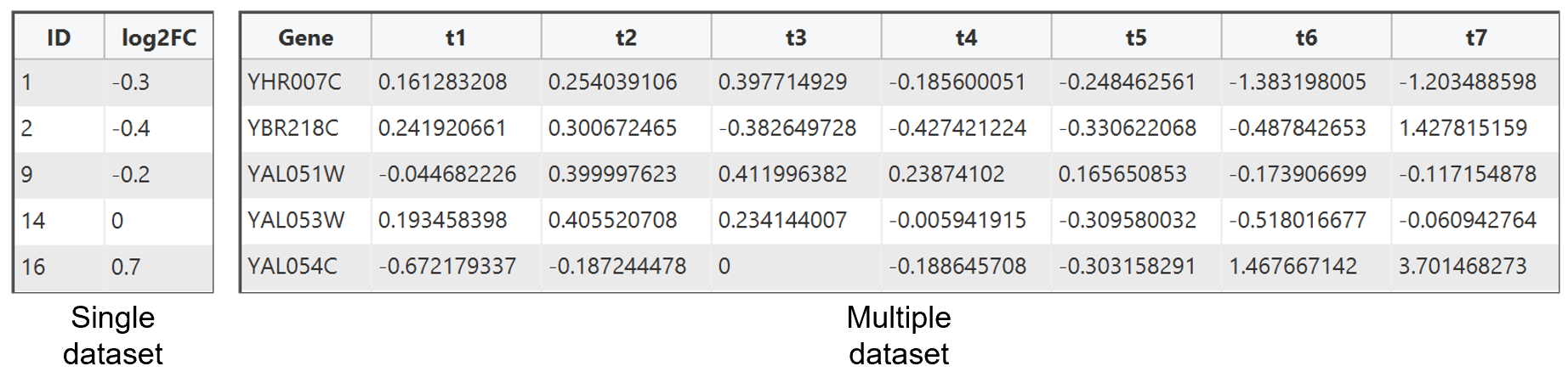 dataset_example