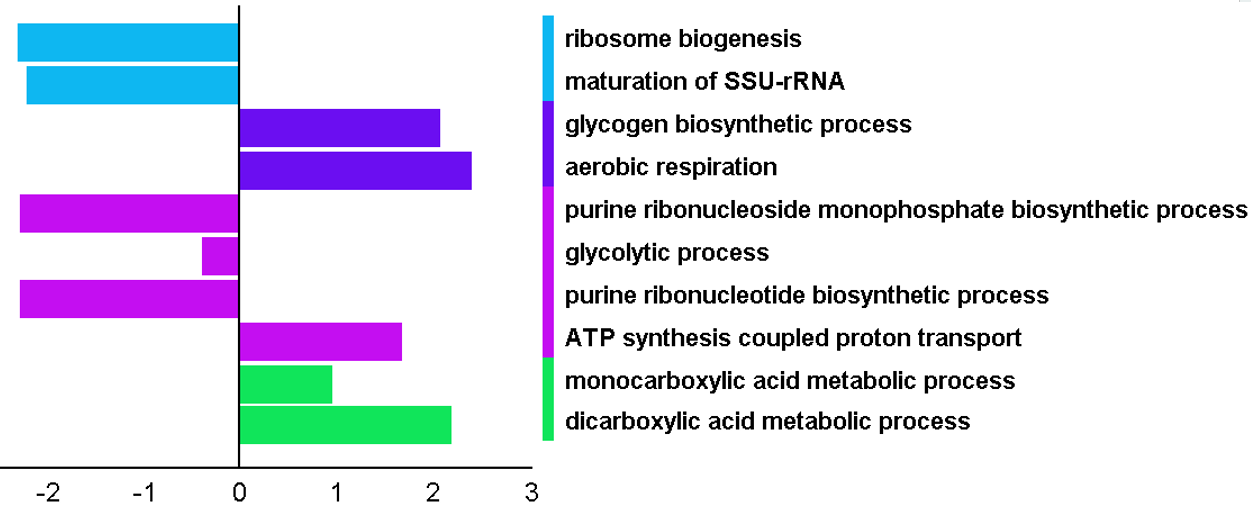 gui_pathway_annotation_table