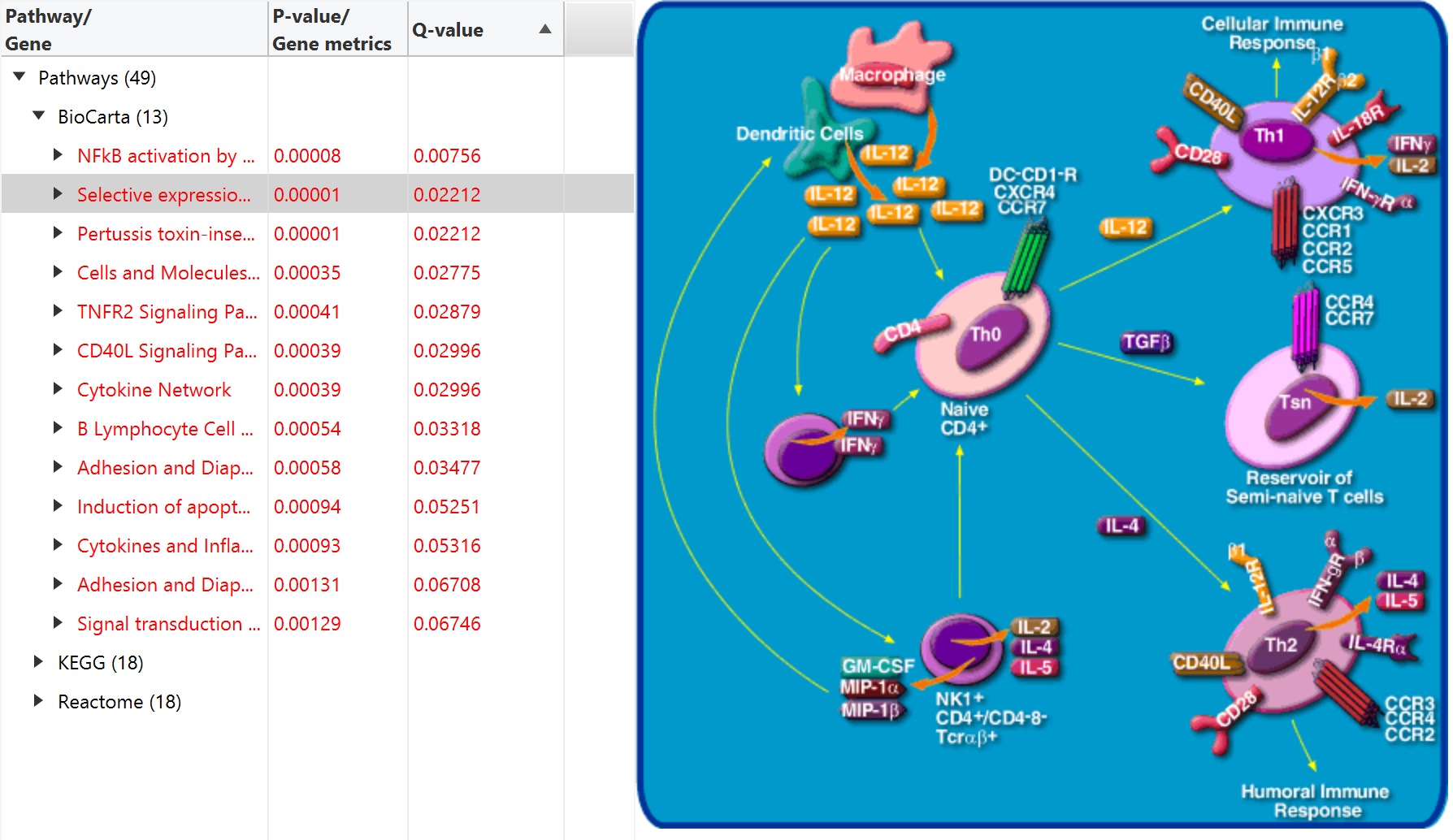 gui_pathway_enrichment