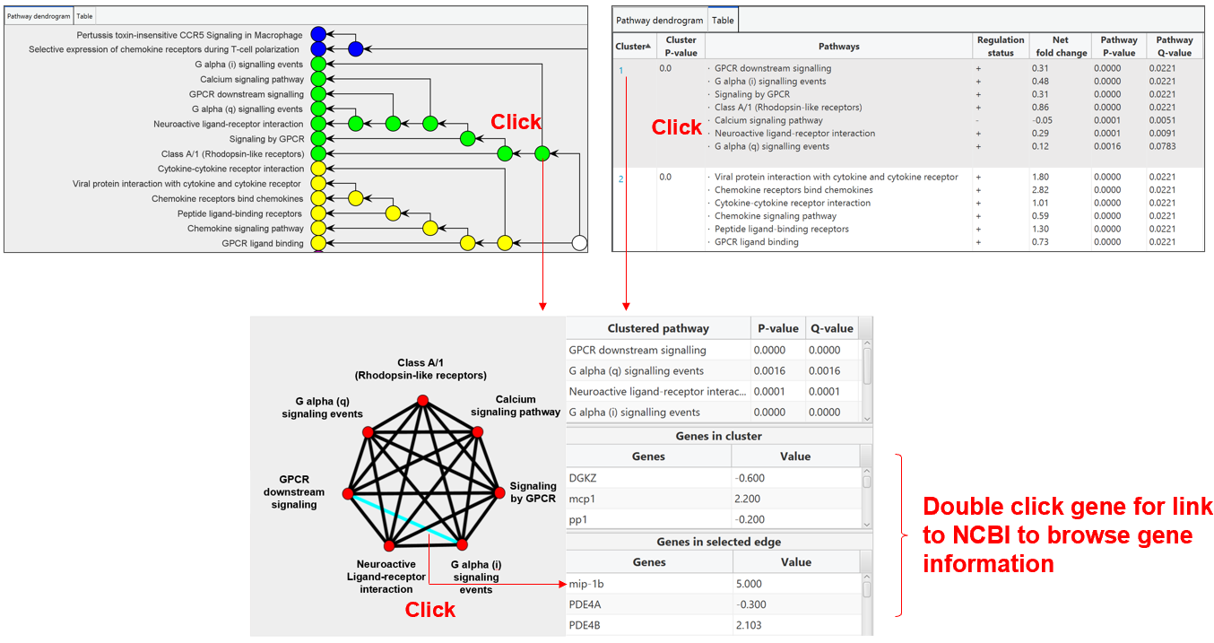 pathway_cluster_window_click